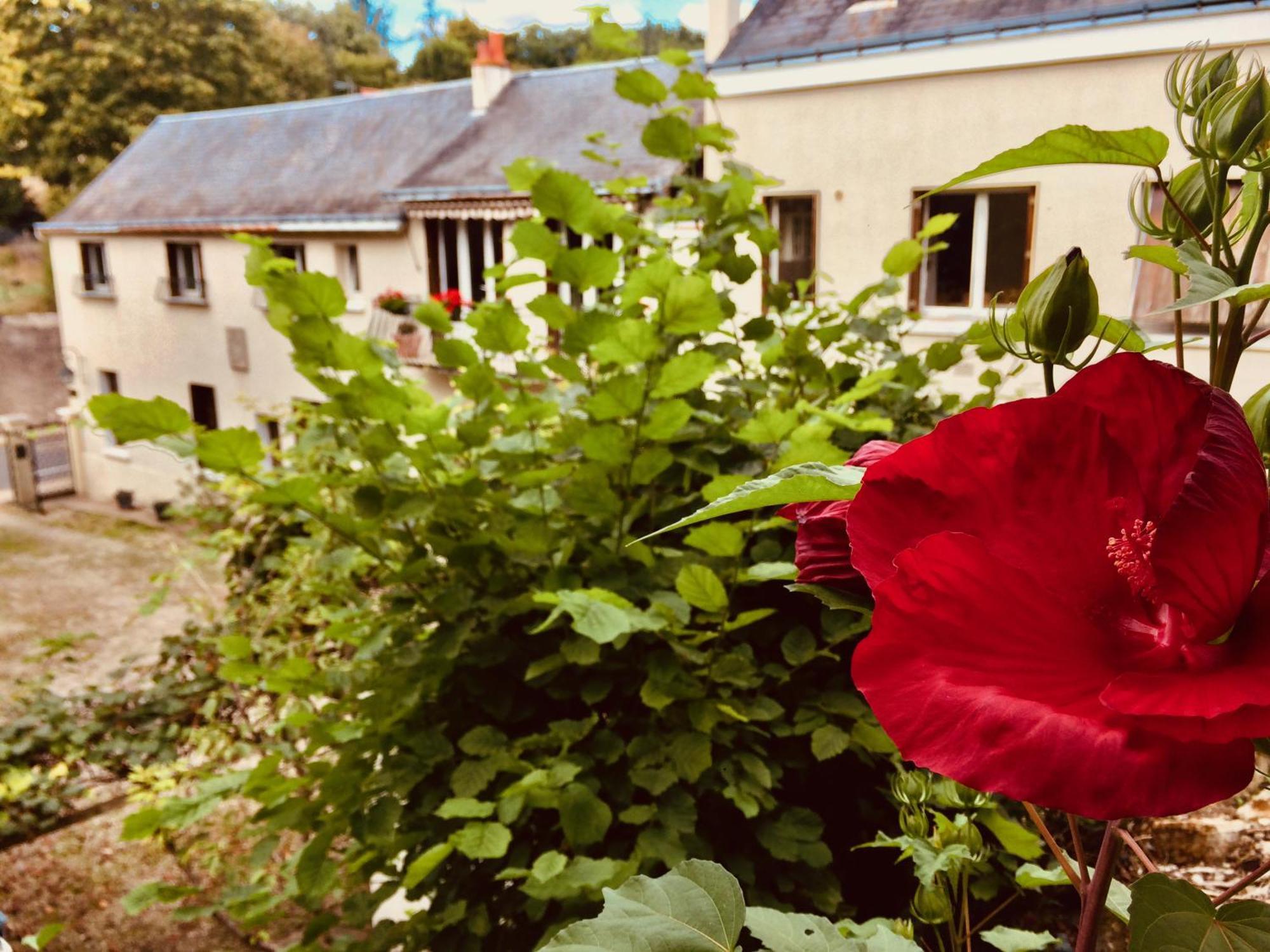 Le Clos Rabelais Langeais Exterior photo