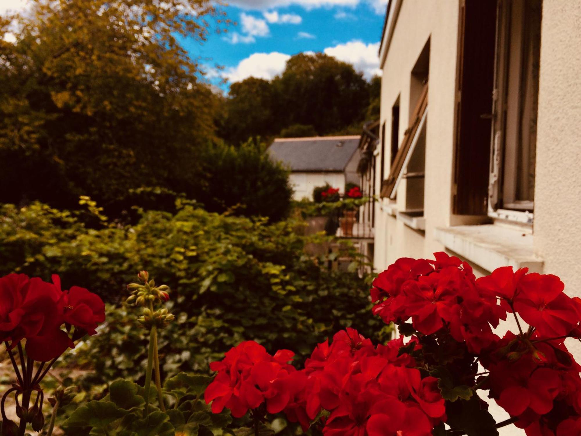 Le Clos Rabelais Langeais Exterior photo